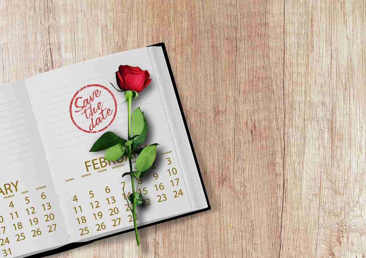 Valentine Week 2024: List of All Special Valentine Week Days